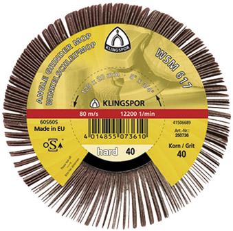 Roue à lamelles WSM 617 125x20mm G120 